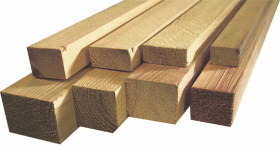 brusok-obreznoy-sosna